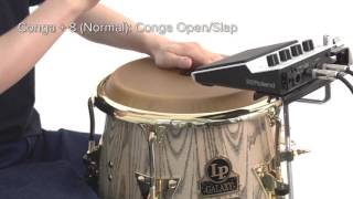 Performance Examples (SPD::ONE PERCUSSION) — Roland SPD::ONE #15
