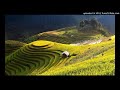 Schiller - Sunrise Way