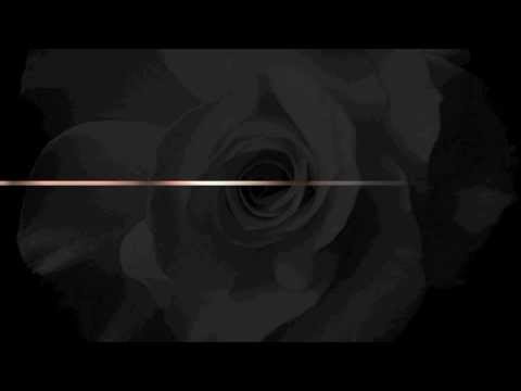 K. Roosevelt - Point Of Impact