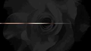 K. Roosevelt - Point Of Impact