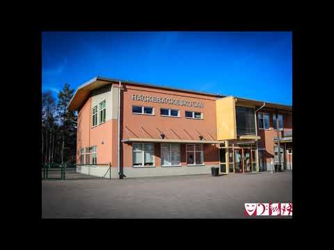 Hackebackeskolan och Kvarndammskolan - Do you think i'm cool