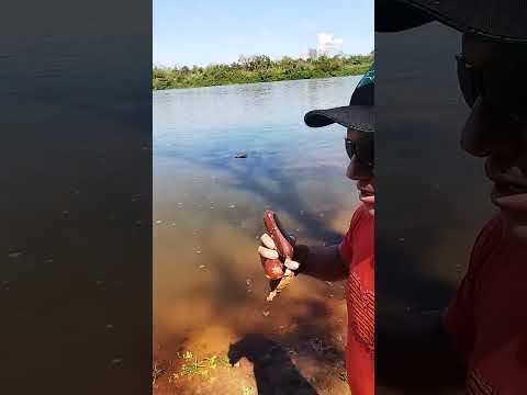 Éu conversando e mostrando as belezas do rio Araguaia em araguaana mato grosso 