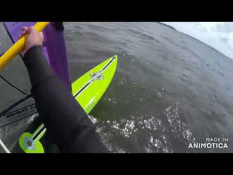 Windsurfing Fanatic Bee 284 Oldschool 26th June 2022