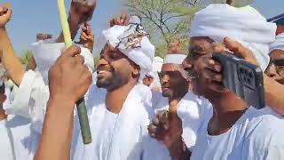 تراث المعاليا ود النمر الفي الكوكا ماعندا رجال اما بتبكي