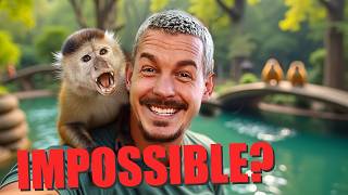 80 000 $ - Le projet Impossible Monkey est devenu réalité