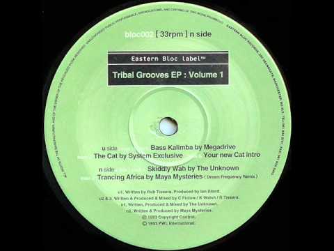 The Unknown - Skiddly Wah