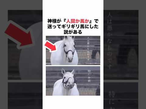 【神がギリ馬にした生き物】