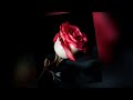 Tetea J - He rosepar hi ka valentine (Official lyrics video)