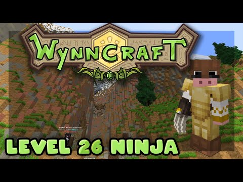 Wynncraft Minecraft: Creepers, Glitches, & Lvl 26