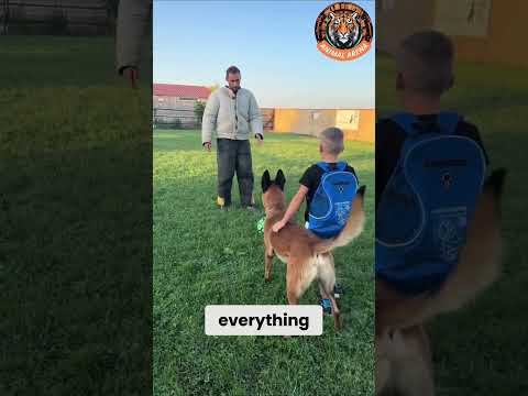 This Belgian Malinois Will Risk Everything for His Boy! 🐕🔥