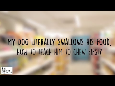 Is your dog swallowing food? Know more about how to get your pet to Chew Food