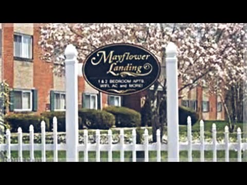 66 Mayflower Ave #11 Middleboro, MA 02346 - Condo - Real Estate - For Rent