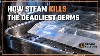 Why Steam Kills Bacteria Better Than Chemicals - Steam Culture