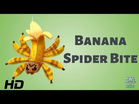 Effects of Cannabis on your body