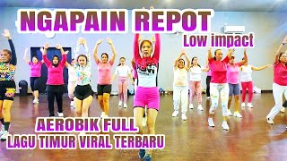 Download lagu Musik Aerobik Low Impact Terbaru 2025 NGAPAIN REPOT mp3