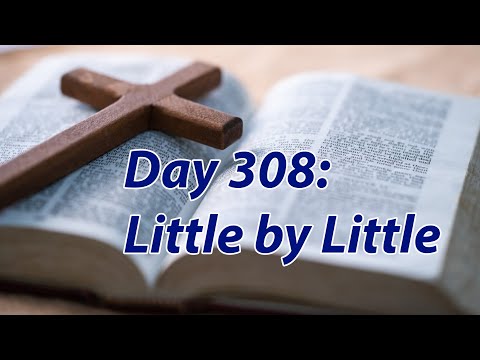 Day 308: Little by Little - The Bible in a Year