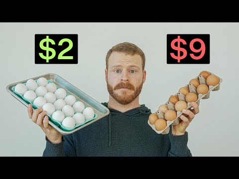 The Truth About Expensive Eggs: Are They Worth It?