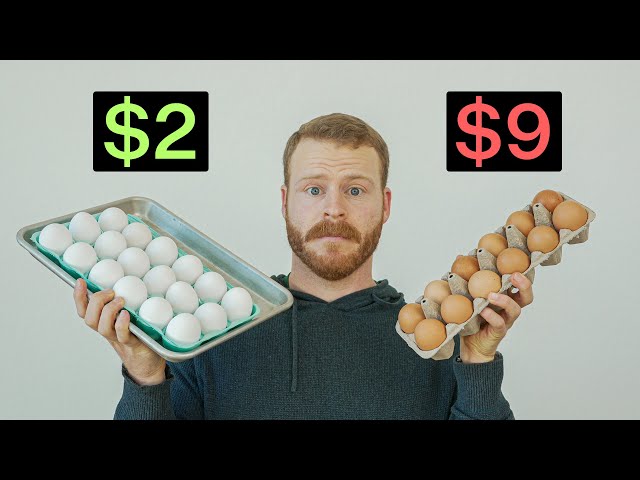 Are Expensive Eggs actually worth it? SDDEFAULT Thumbnail