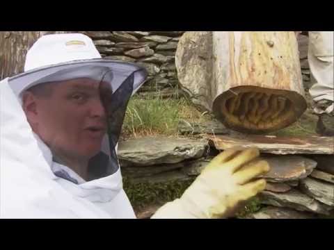 Wild France: With Ray Mears Part 4: Cevennes