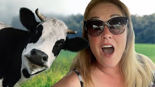 Who knew I am afraid of cows | Playing on the farm with Bre