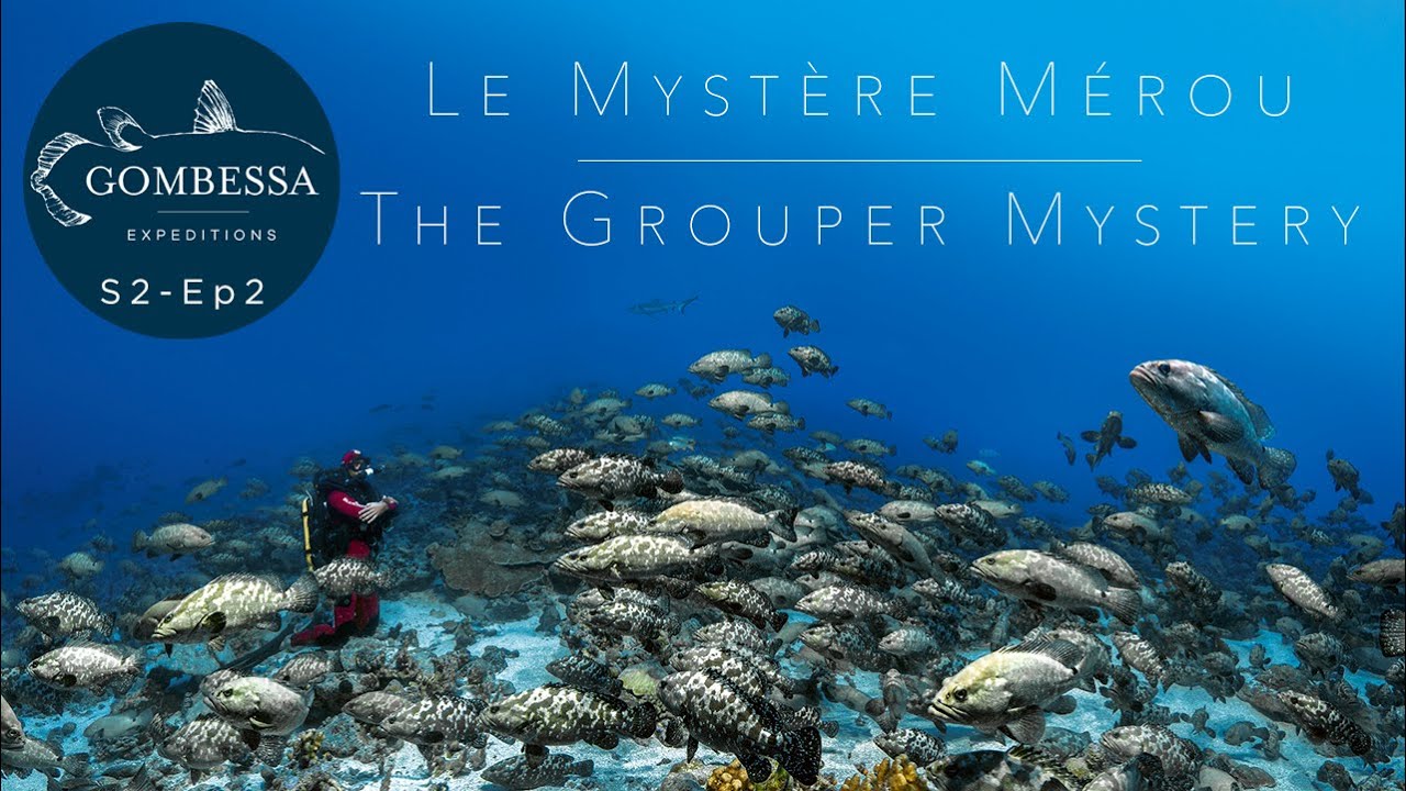 Gombessa II - Mystère Mérou - Ep02