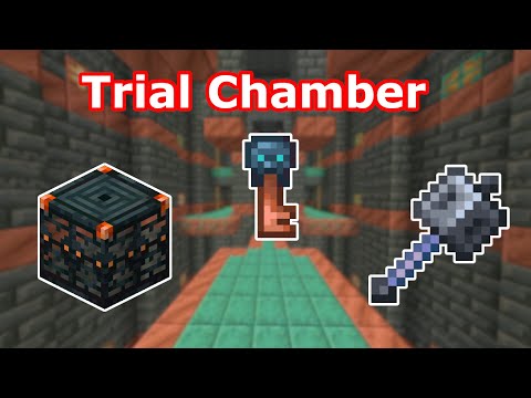 Trial Chamber Guide Video