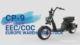 EEC 3000W 60V 20AH Battery Citycoco Electric Scooter 45KM/H 10Inch Aluminum Wheel Chopper EBike