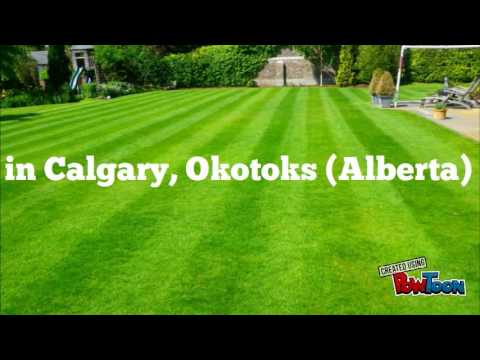 download lagu mp3 mp4 Gardening Services Calgary, download lagu Gardening Services Calgary gratis, unduh video klip Gardening Services Calgary
