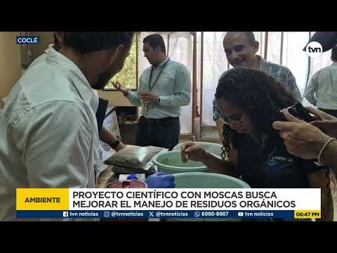 Proyecto con la mosca soldado negra para mejorar el manejo de residuos orgánicos