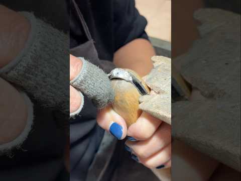Proceso de fabricación de esta joya