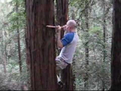 David Campbell ninja warrior extended cut