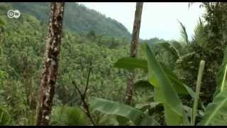 preview picture of video 'Philippinen: Bäume gegen Ackerland | Global 3000'