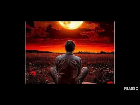 Muharem srbezovski - dosadi mi sdbo mojia - HD -4K STUDIO - 🎙️ EST. .ORGINAL HIT - MUSIC 🎵