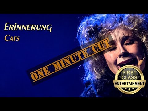 Musical Fieber "Erinnerung" aus dem Musical "Cats"
