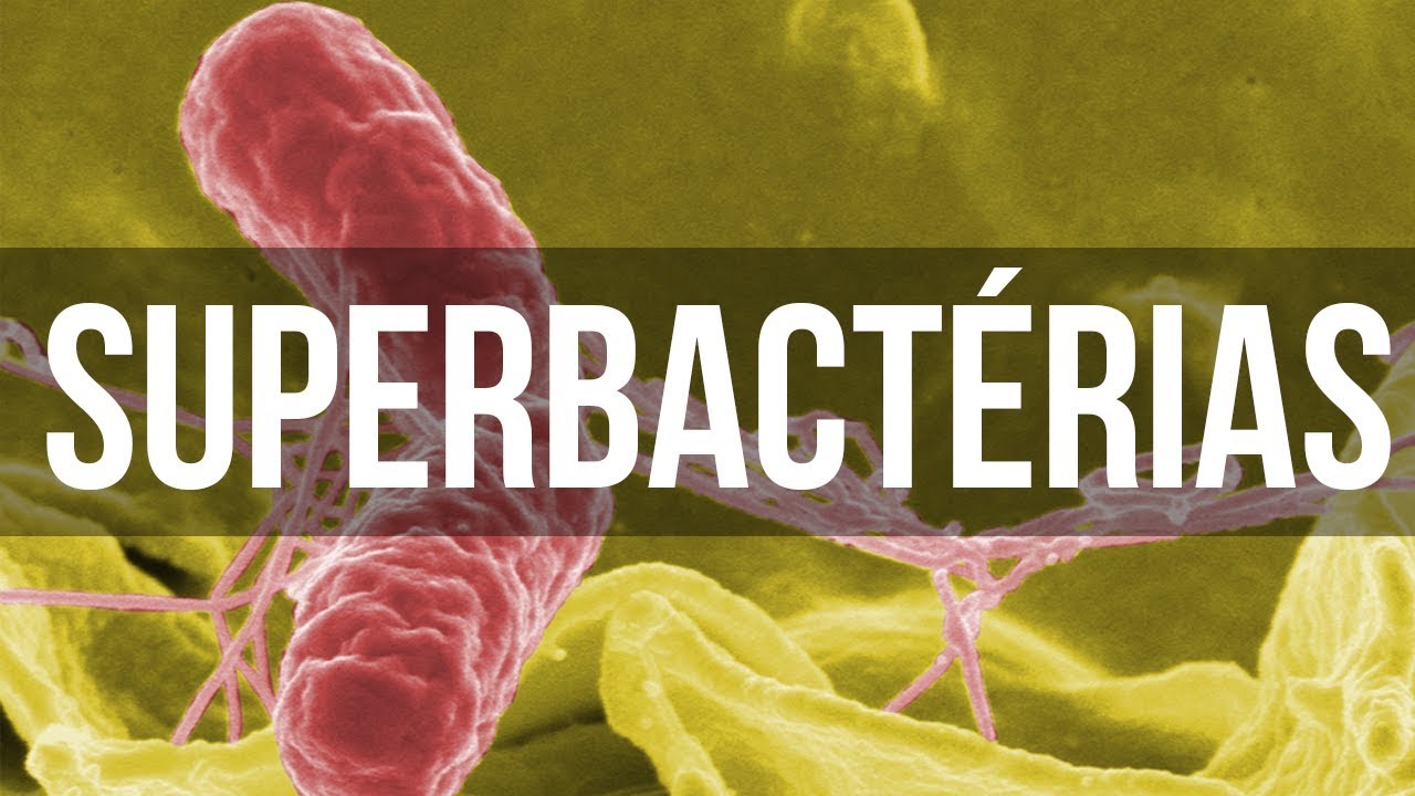 A Crise das Superbactérias Explicada