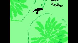 Animal Collective - Danse Manatee [Full Album]