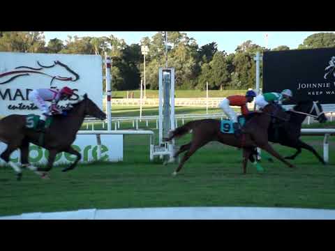 220130 c10 PASIONARIA