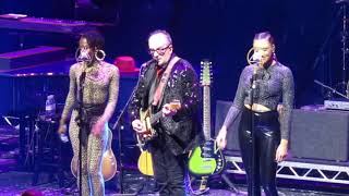 Elvis Costello and the Imposters Party Girl live at Liverpool Olympia 28th February 2020