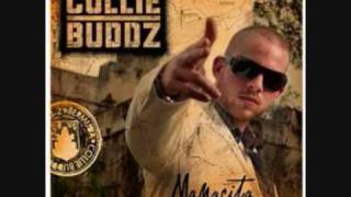 collie buddz - come around