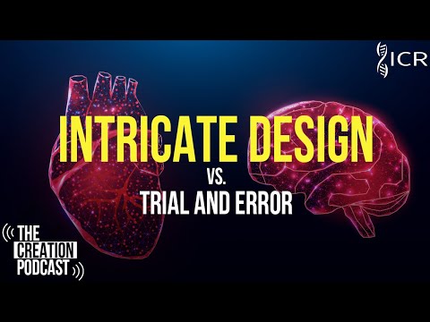 Do Complex Systems Defy Evolution? | The Creation Podcast: Episode 34