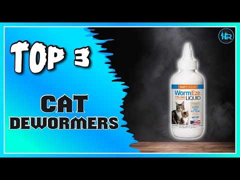 Best Cat Dewormers For Your Cats