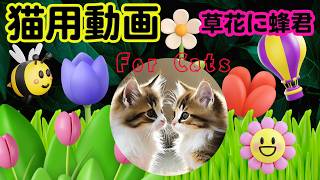 猫が喜ぶ動画・猫に見せる動画　可愛い草花　暇つぶしにご利用ください