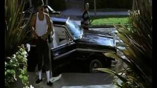 Lobo Sebastian video