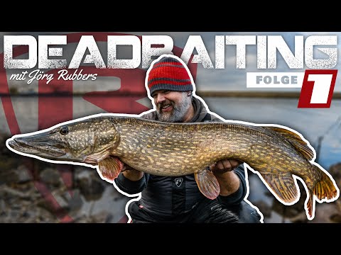 KÖDERFISCH-ANGELN mit Jörg Rubbers | So fängst du diesen Winter dicke Hechte mit Köderfisch!