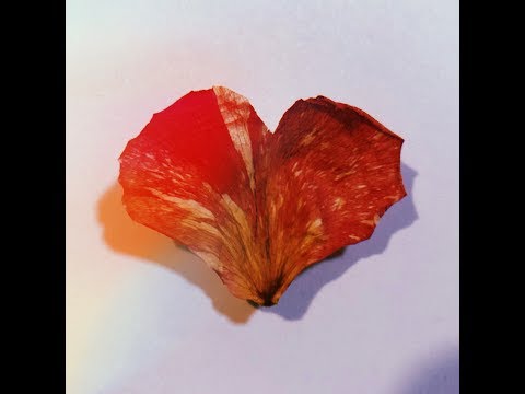 Video thumbnail for Wild Heart