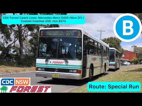 CDC Forest Coach Lines: Mercedes-Benz O405 (Nice ZF) / Custom Coaches 200, m/o 8573