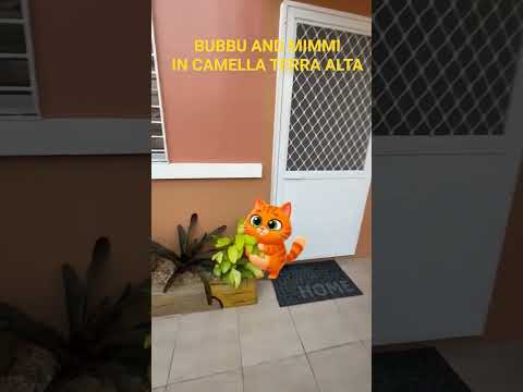Bubbu and Mimmi in Terra alta