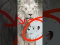 What S Wrong With The Villain In Mufasa The Lion King Shorts Disney