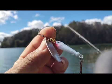 Inicio de temporada 2026-2027, con truchoncito en laguna grande se san pedro de la Paz 🎣 