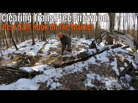 Clearing The West Trail  More Free Wood For Firewood Business